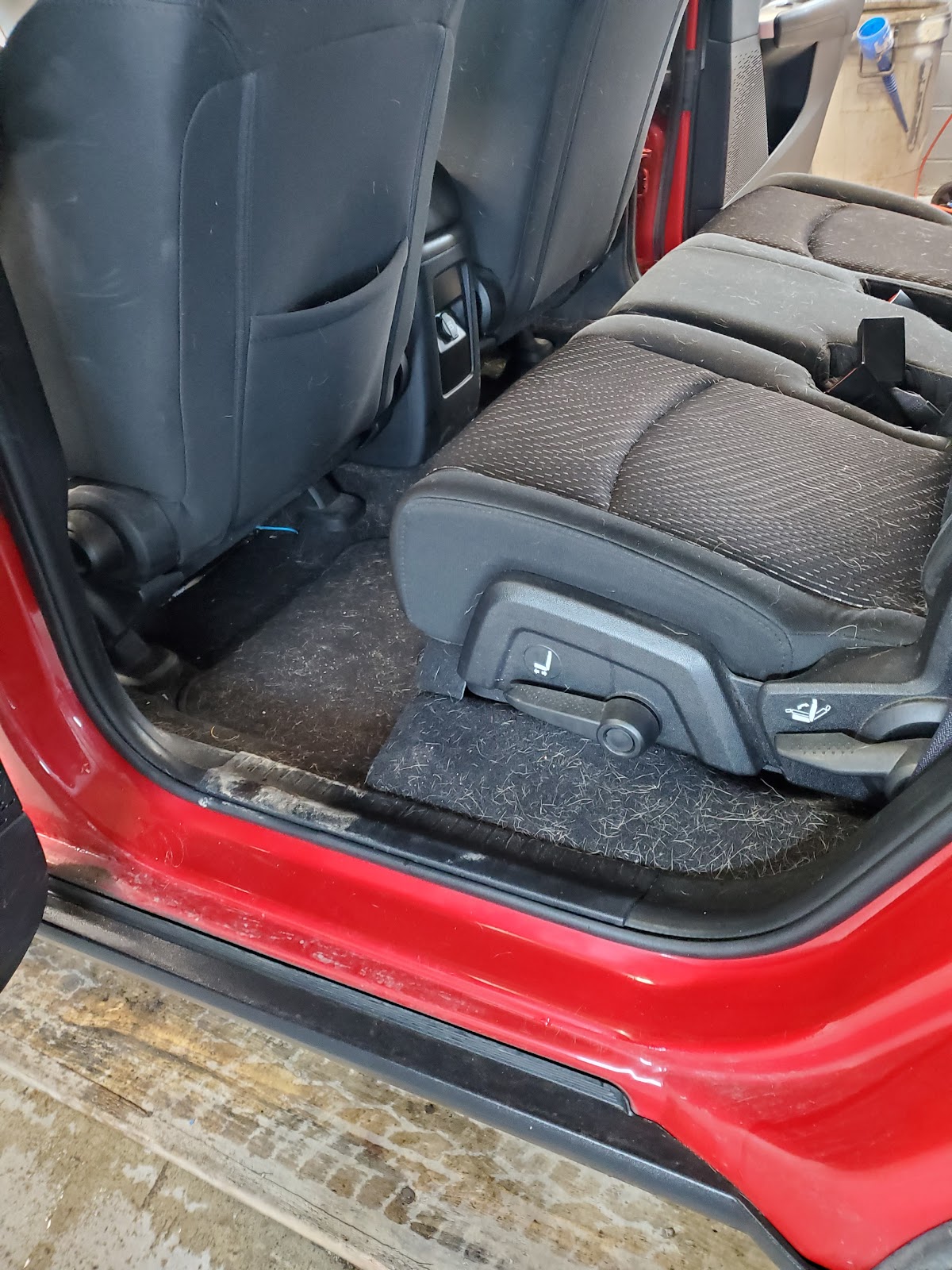 Pet Hair Removal - Thorough pet hair cleaning